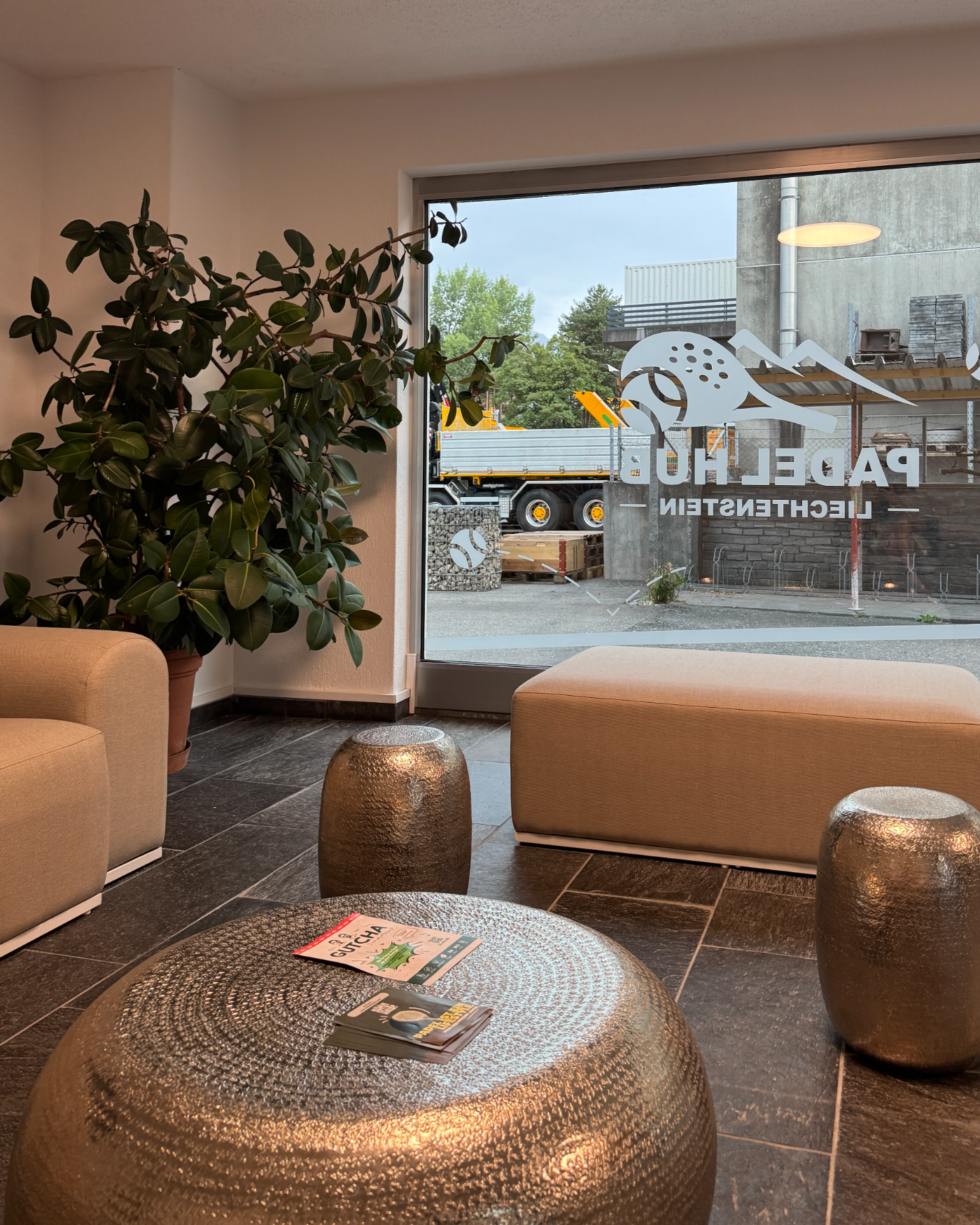 Lounge im Padel Hub mit Pflanze und Blick durch die beschriftete Fensterfront